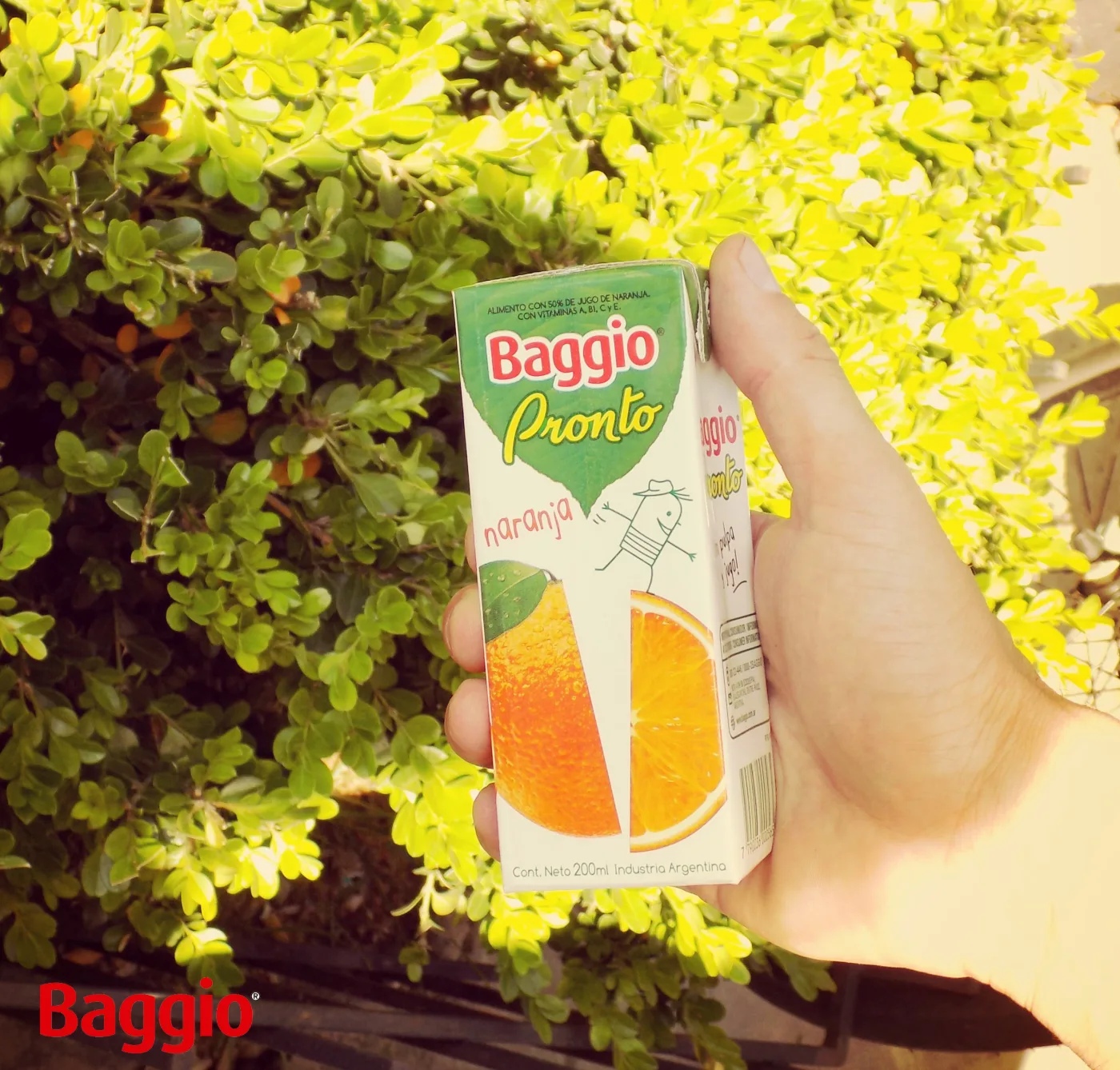 Baggio Pronto naranja